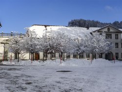 Ein Innenhof im winterlichen Gewand